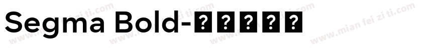 Segma Bold字体转换